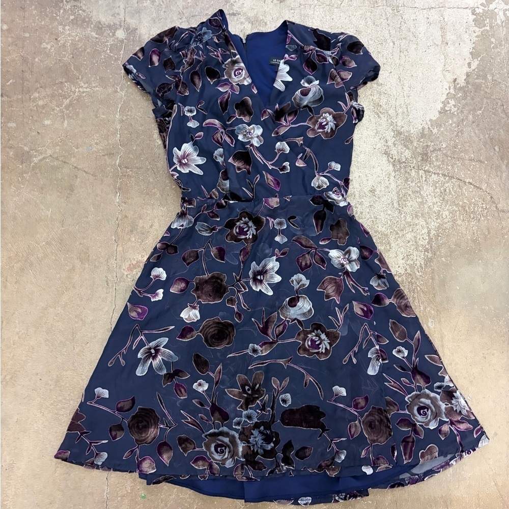Le chateau burnout velvet dark floral crossover fairy whimsygoth dress